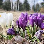 Дом отдыха Odpocznij Sobie Радкув