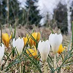 Odpocznij Sobie Радкув