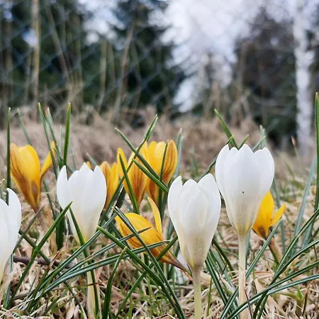 Odpocznij Sobie Radkow